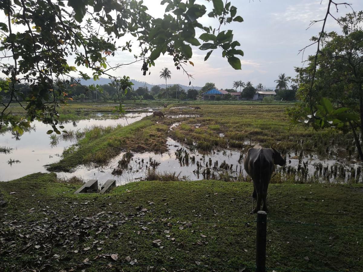 Homestay Barakah Cenang Langkawi Pantai Cenang  Ngoại thất bức ảnh
